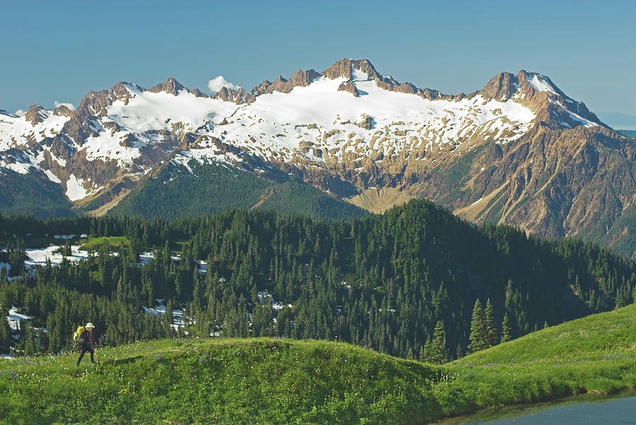 Mount Baker in Washington