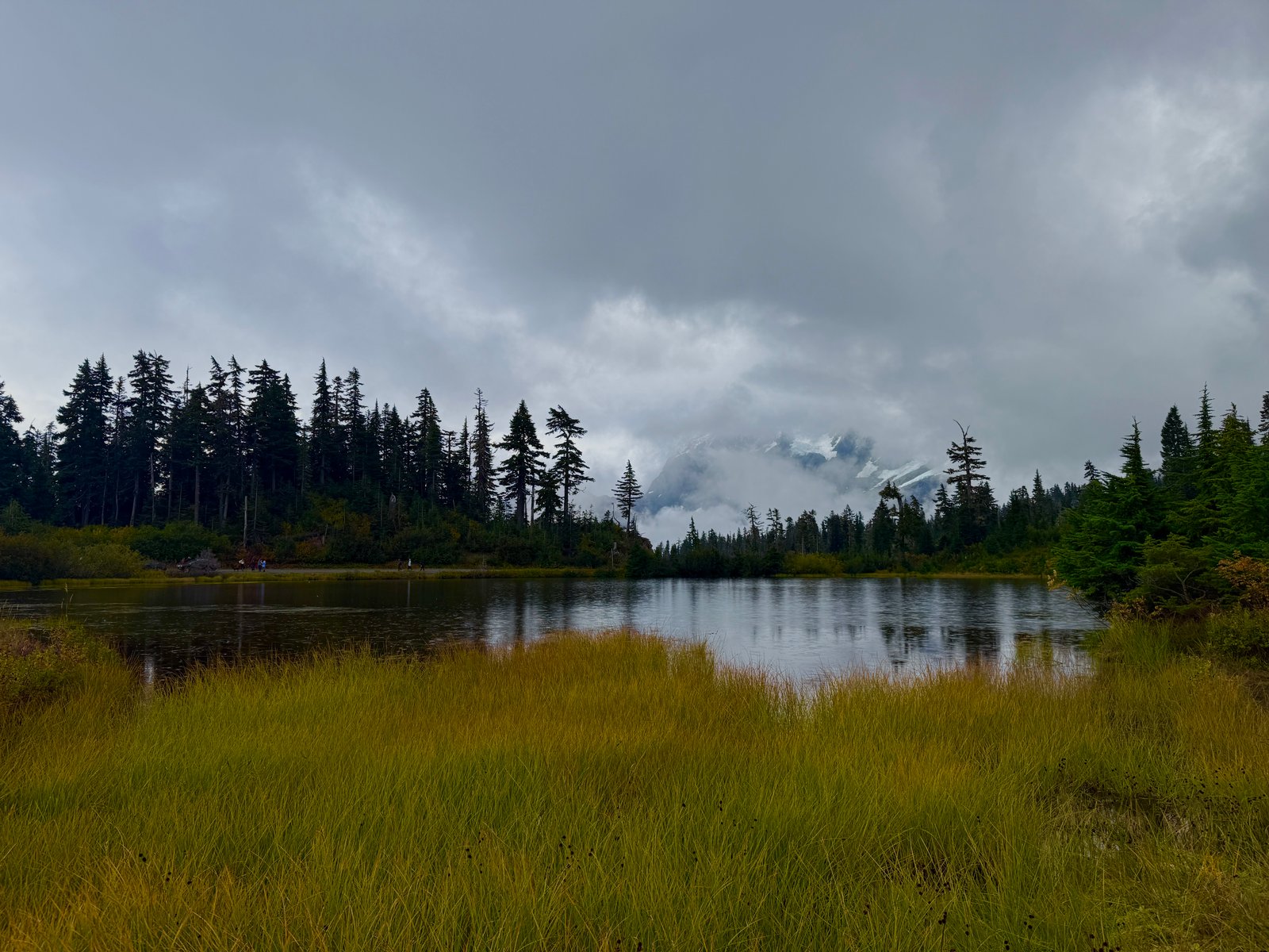Picture Lake with Mount Shuksan
